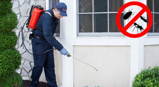 Havsa Kene İlaçlama böcek ilaçlama ve haşere kontrolü — ilaclama-tr.com